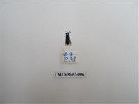 藏品(膜翅目(蜂))的圖片